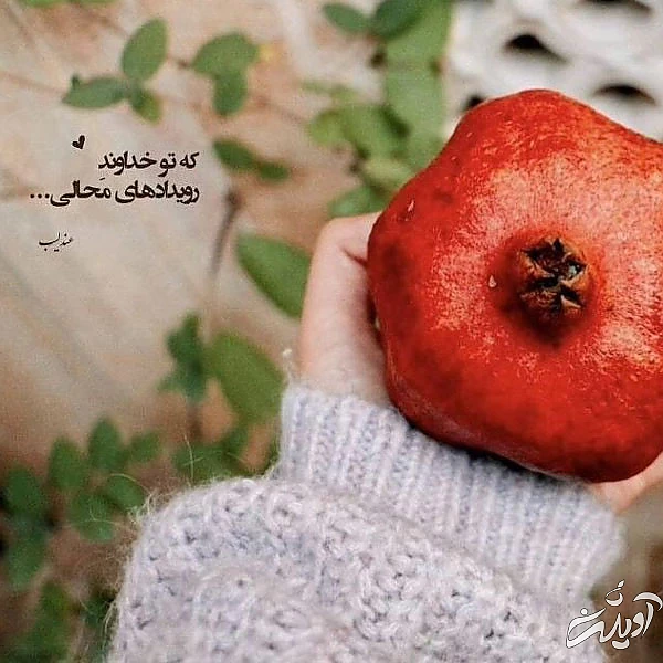 عکس پروفایل یلدا عکس شب یلدا با کیفیت بالا عکس شب یلدا خانوادگی عکس شب یلدا دونفره عکس برای شب یلدا دخترانه عکس شب یلدا 1402 عکس شب یلدا عاشقانه عکس پروفایل یلدا u;s \v,thdg dgnh